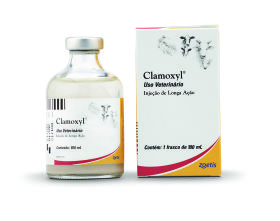 Clamoxyl - 100 mL