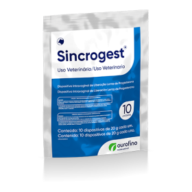 Sincrogest - Pacote 