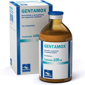 Gentamox - 100 mL